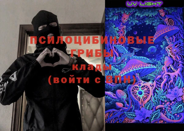 бошки Гусиноозёрск