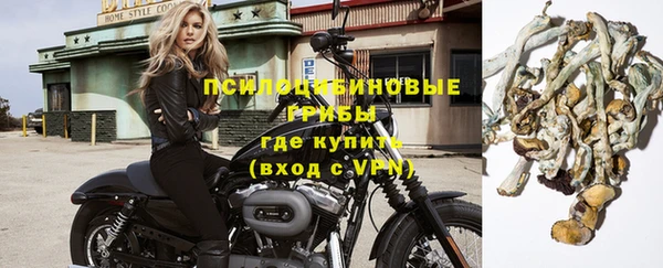mdpv Гусев