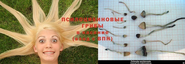 экстази Горнозаводск